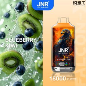 JNR FALCON -X BLUEBERRY KIWI – 18000 PUFFS