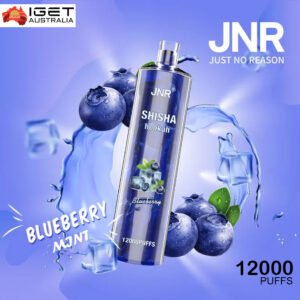 JNR SHISHA HOOKAH – BLUEBERRY POMEGRANATE – 12000 PUFFS