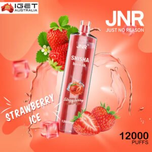 JNR SHISHA HOOKAH – WATERMELON ICE – 12000 PUFFS