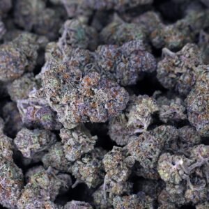 Gelato 41 THCa Flower *Private Reserve*